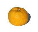 Yuzu